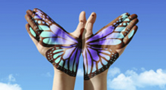 Screen Shot 2020-12-05 at 1.41.45 PM